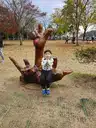 board-img