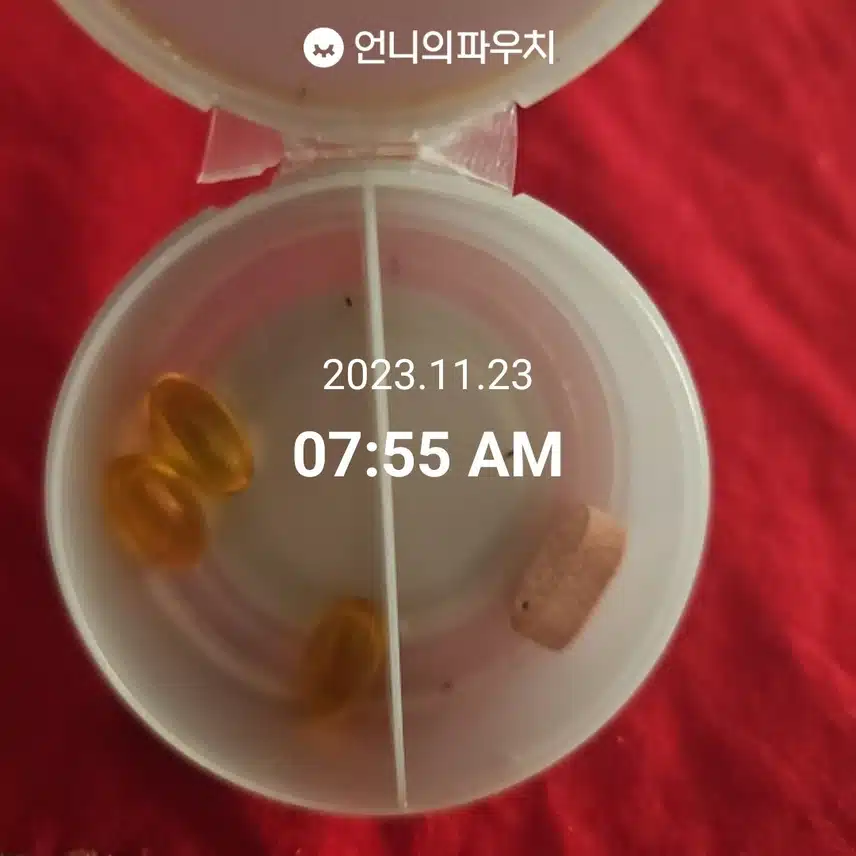 11월 23일 뷰티루틴