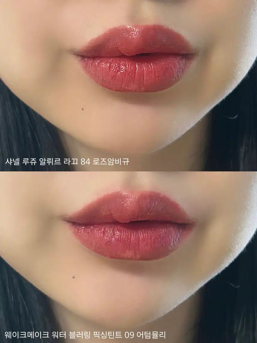 내돈내산) 샤넬 틴트 vs 웨이크메이크 틴트