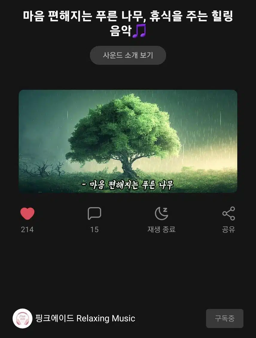 새벽마다 마음을 편안하게 집중시켜주는 나의 픽 사운드